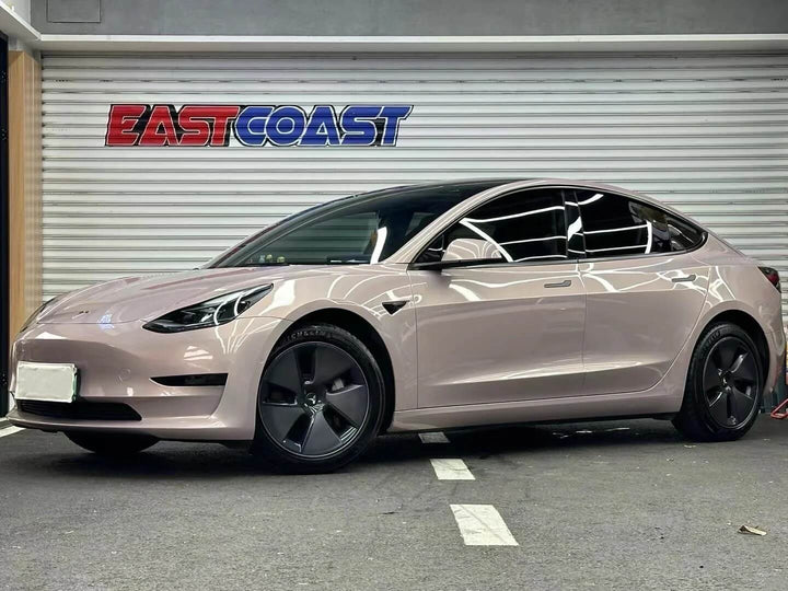 Gloss Metallic Rouge Pearl Pink Color PPF