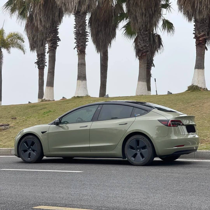 Glossy Sage Green Color PPF